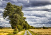 Почему на Евдокию Свистунью 30 мая запрещалось выходить на улицу в вечерние часы