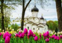 Праздник Николая Чудотворца 22 мая: что нельзя делать в этот день, а что можно