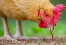 Приметы и поверья на 17 мая 2022 года: что сегодня строго-настрого запрещено делать