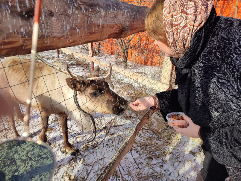 Селфи со страусом и ночевка в поле: в Челябинской области набирает популярность сельский туризм