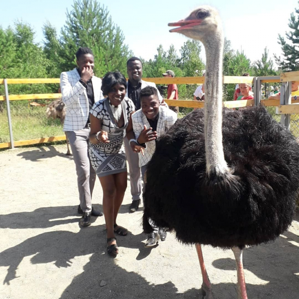 Селфи со страусом и ночевка в поле: в Челябинской области набирает популярность сельский туризм