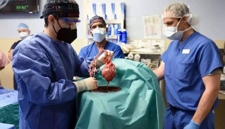 <br />
В США назвали возможную причину смерти человека с пересаженным свиным сердцем                