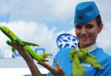 Полезные советы для путешественников на сайте S7 Airlines