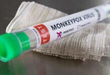 Вспышка обезьяньей оспы: ученые назвали неожиданную причину вируса