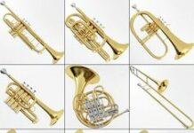 Виды духовых инструментов