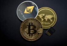 Бесплатные обучающие семинары по работе с криптовалютами пройдут на площадке TTM Academy