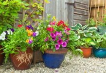 Благоприятные и неблагоприятные дни в июне 2022 года по лунному календарю