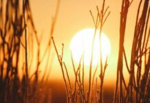 День летнего солнцестояния выпадает на 21 июня 2022 года: особенности дня