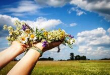 Гороскоп на выходные, 4 и 5 июня 2022 года, для всех знаков зодиака