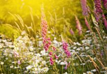 Гороскоп от Ирины Богдан на 2 июня 2022 года для всех знаков зодиака