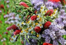 Как правильно составить букет на православный праздник Троицы в 2022 году