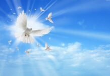 Какие запреты существовали на Духов день 13 июня и почему люди боялись их нарушать