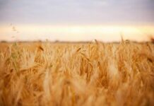 Какой церковный праздник сегодня, 3 июня 2022 года, отмечают православные