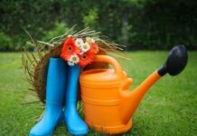 Лунный посевной календарь для огородников и садоводов на июль 2022 года