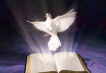 Можно ли работать в Духов день в 2022 году