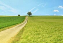 Овны рискуют встретить мошенников, а Весы разозлят своими советами: гороскоп на 8 июня 2022 года