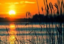 Поздравления в стихах и открытках с Днем летнего солнцестояния 21 июня 2022 года