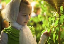 Православная Троица 12 июня 2022 года: нужно ли верующим красить яйца, и почему в зеленый цвет