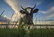 Приметы и поверья на 28 июня 2022 года подскажут, что нельзя делать в этот день