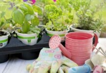 Приметы и поверья на Лариона Пропольника 19 июня 2022 года: что нельзя делать в этот день