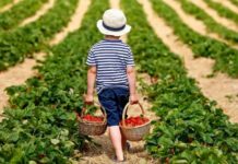 Приметы и поверья на Тимофея Грядочника 2 июня 2022 года, что нельзя делать в этот день