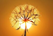 В день летнего солнцестояния 21 июня 2022 года можно провести ряд магических ритуалов