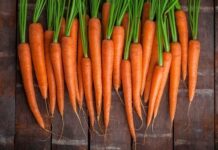 Чем и как поливать морковь, чтобы она выросла сладкой и сочной