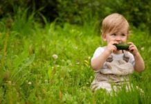 Что нельзя делать на Панкратия Ягодника 22 июля 2022 года, чтобы потом не пришлось экономить