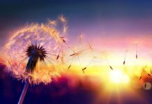 Гороскоп от Ирины Богдан на 23 июля 2022 года для всех знаков зодиака