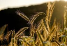 Грехи недели: что нельзя делать в праздничные дни с 1 по 7 августа