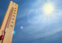 Июль принесет аномальную жару: в каких регионах России ожидается жаркое лето в 2022 году