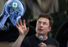 Илон Маск загрузил свой мозг в облако и поговорил с виртуальным собой