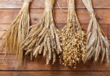 Как на Руси почитали банного духа в Омельянов день 31 июля 2022 года