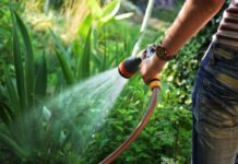 Как правильно поливать посадки и можно ли для этого использовать ледяную воду из колодца или скважины