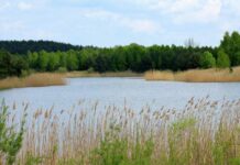 Как правильно выбрать безопасное место для купания: рекомендации Роспотребнадзора