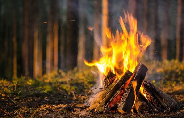 <br />
Какие лесные животные не боятся огня и могут напасть на человека при разведенном костре                