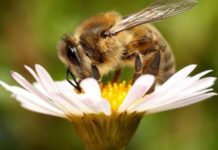 Какой церковный праздник отметят православные христиане сегодня, 2 июля 2022 года