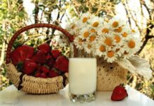 Какой праздник отмечают в России и мире сегодня, 5 июля 2022 года