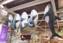 Компания IKEA открывает электронную очередь для распродажи своих товаров в РФ