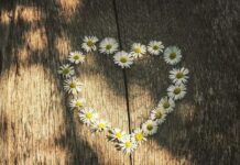 Красивые открытки и душевные стихи, поздравления с Днем семьи, любви и верности 8 июля 2022 года