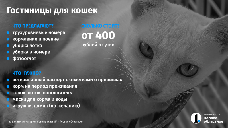 Куда в Челябинске пристроить домашних животных на время отпуска