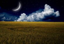 На Афанасия 18 июля у Луны праздник: как в этот день можно привлечь достаток и здоровье