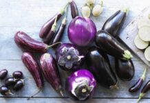 Необычная ягода: кому нельзя есть баклажаны и как их правильно готовить
