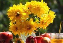 Овнов подведет здоровье, а Тельцов вторая половинка: гороскоп на 1 августа 2022 года