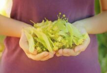 Почему нельзя опаздывать на встречу в Ульянов день и другие запреты 4 июля