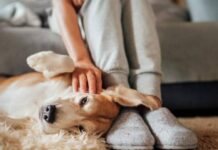 Польза или вред: почему дома нельзя ходить в комнатных тапочках