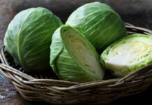 Трещины в вилках: как сберечь плотность капусты, лунный календарь по уходу за культурой на июль, август и сентябрь 2022 года