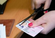 В России планируют внедрение электронных водительских прав в 2022 году