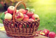 Что нужно святить в церкви на Яблочный Спас 19 августа 2022 года: список разрешенных продуктов