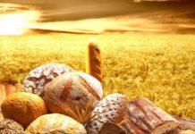 Эти две вещи запрещено делать перед Яблочным Спасом, чтобы не потерять деньги